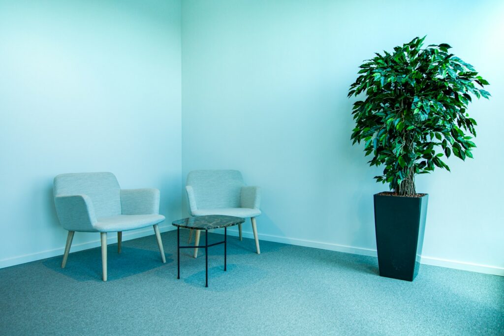 Deux fauteuils et une plante verte dans une pièce calme, propice à un rendez-vous de consultation